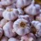 Ail Violet