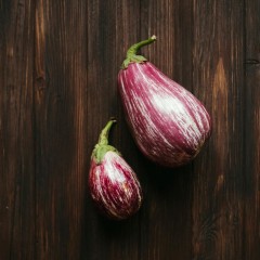 Aubergines Tigrées