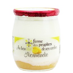 2 YAOURTS CITRON
