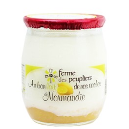 2 YAOURTS CITRON