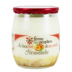 2 YAOURTS À L'ANANAS