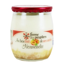 2 YAOURTS À L'ANANAS