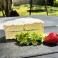 QUART DE BRILLAT À LA TRUFFE