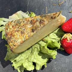 TOMME AUX FLEURS