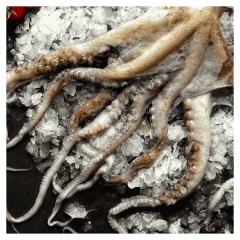 Tentacules de Poulpe