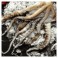 Tentacules de Poulpe