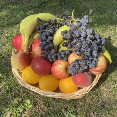 CORBEILLE DE FRUITS 4/5 PERSONNES 