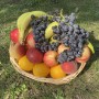 CORBEILLE DE FRUITS 4/5 PERSONNES 