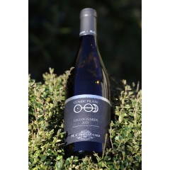 VIOGNIER - LES LOGNARDS - CHAPOUTIER