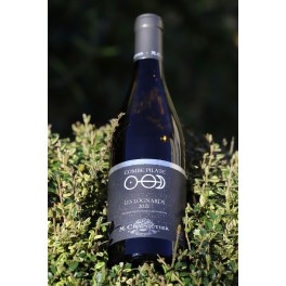 VIOGNIER - LES LOGNARDS - CHAPOUTIER