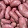 POMMES DE TERRE ANNABELLE (1KG)