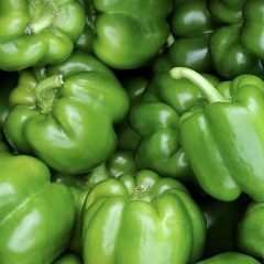 POIVRON VERT