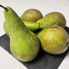 POIRES WILLIAM BIO