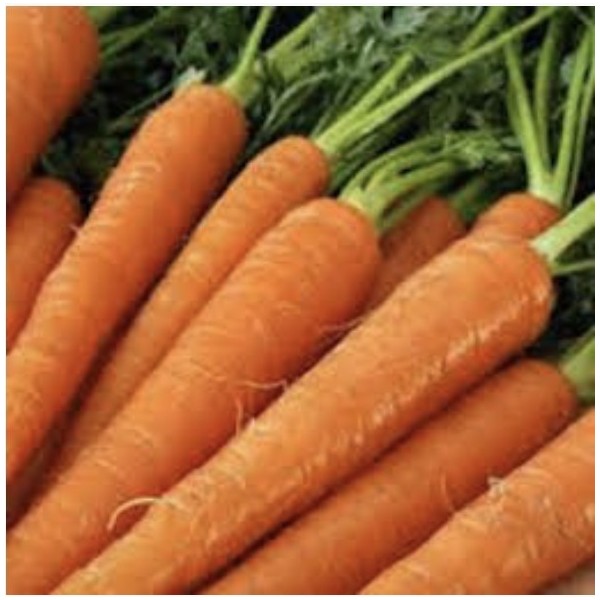 CAROTTES LAVEES (1kg)
