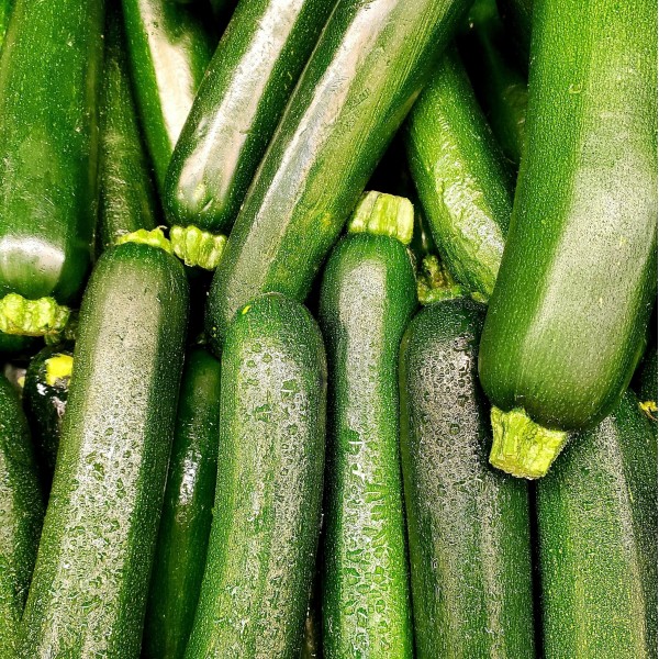 Courgettes BIO