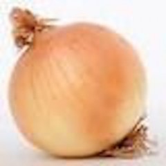 OIGNONS