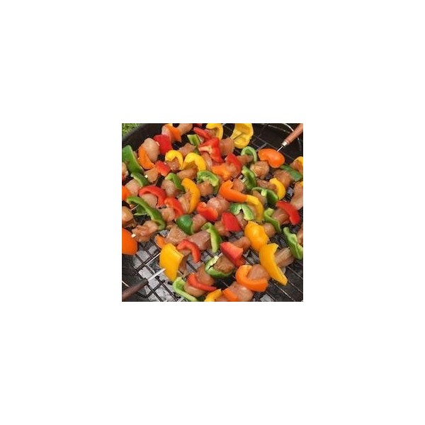 2 BROCHETTES DE POULET