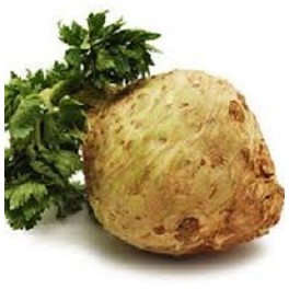 CELERI 