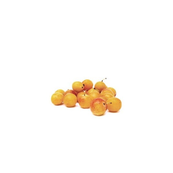 MIRABELLES ( 500 grs )