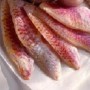 FILET DE ROUGET BARBES